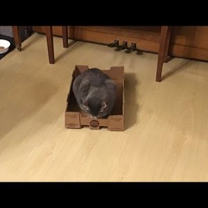 Meet your Posher, Jane